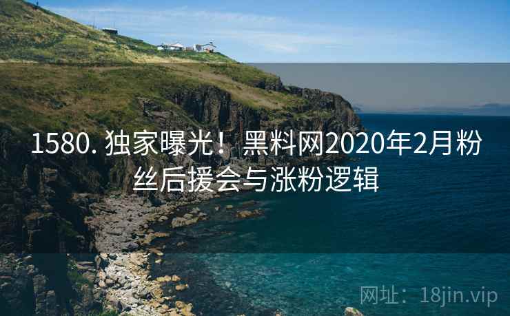 1580. 独家曝光！黑料网2020年2月粉丝后援会与涨粉逻辑