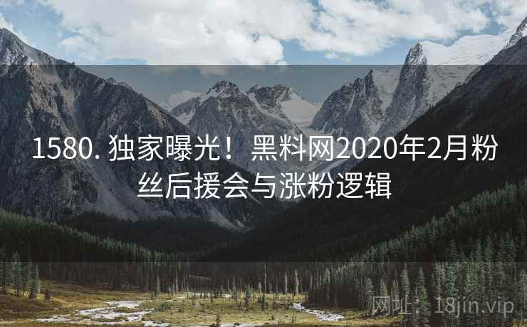 1580. 独家曝光!黑料网2020年2月粉丝后援会与涨粉逻辑