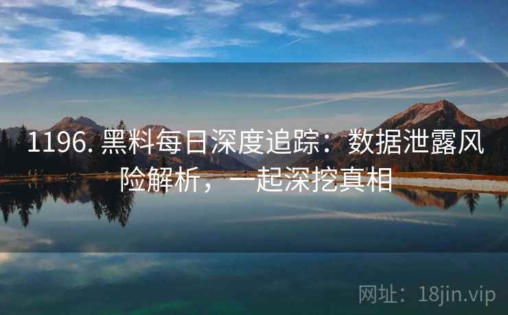 1196. 黑料每日深度追踪:数据泄露风险解析,一起深挖真相